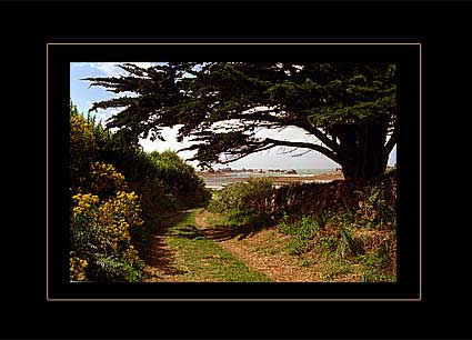 Doorzicht op kust 1 (c) J. Minjon